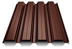 Maro ciocolatiu